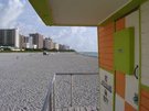 DSCN1411.jpg